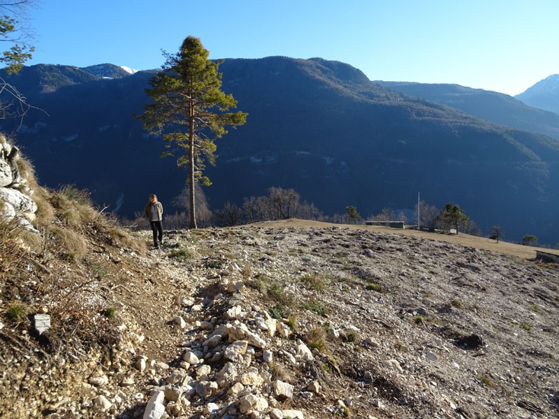 Escursioni sul Finonchio - sentiero F6